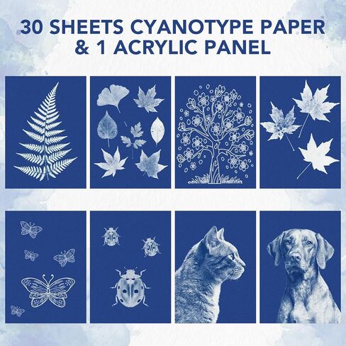 مجموعة Cyanotype مع 30 ورقة من ورق طباعة الشمس ولوحة أكريليك، لوازم فنية للطباعة الشمسية للحرف الطبيعية، والمشروعات اليدوية، والتصوير الفوتوغرافي، مثالية للحرف الفنية، والهدايا in Kuwait