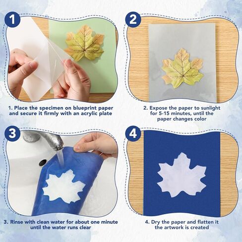 مجموعة Cyanotype مع 30 ورقة من ورق طباعة الشمس ولوحة أكريليك، لوازم فنية للطباعة الشمسية للحرف الطبيعية، والمشروعات اليدوية، والتصوير الفوتوغرافي، مثالية للحرف الفنية، والهدايا in Kuwait