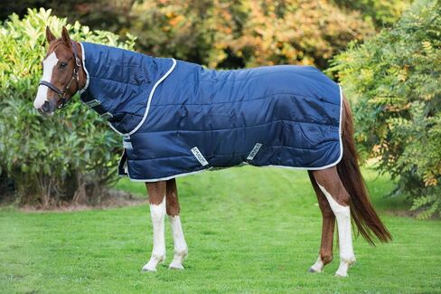 Horseware® Amigo® Insulator Plus (200g Medium) in Saudi Arabia