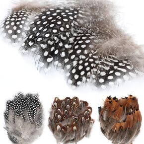 MWOOT 300PCS Spotted Chicken Feathers Natural Pheasant Plumage Feathers for DIY Crafts, Clothing, Jewelry, Wedding, Birthday Party, Dream Catcher Decoration in Kuwait