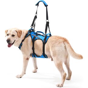 Dog Lift Harness for Large Dogs, Full Body Support Sling with 3 Handles and Shoulder Strap, Carrying Vest for Senior Dogs with Arthritis or Joint Injuries, Stairs Assistance, Blue, Large in Kuwait