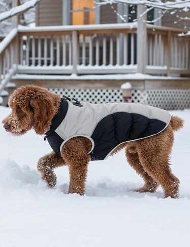 AURUZA Dog Coat, Warm Dog Winter Coat Waterproof Small Dogs Jacket with Harness Built Reflective Pet Vest with Zipper for Medium Dogs Windproof Pet Fleece Puffer Vest Snow Jacket for Cold Weather in Saudi Arabia