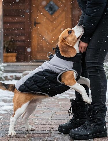 AURUZA Dog Coat, Warm Dog Winter Coat Waterproof Small Dogs Jacket with Harness Built Reflective Pet Vest with Zipper for Medium Dogs Windproof Pet Fleece Puffer Vest Snow Jacket for Cold Weather in Saudi Arabia