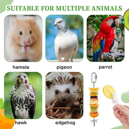 6 PCS Bird Treats Skewer, Parakeet Hanging Food Holder, Bird Cage Food Holders, Stainless Steel Fruit Vegetable Stick Holder for Hanging Birds Foraging Toys for Macaw Parakeet Budgie (3 Sizes) in Saudi Arabia