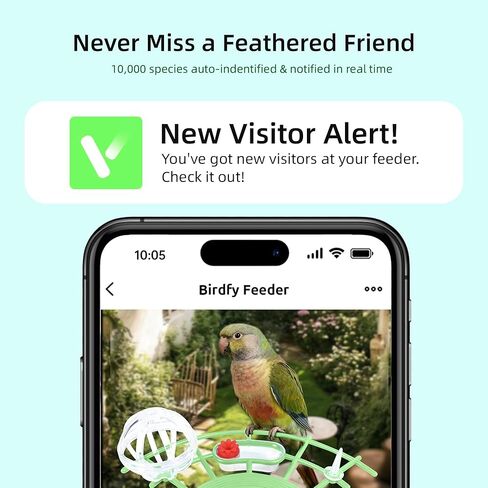 Bird Feeder with Camera, Smart Bird Cam with AI Identify BirdSpecies, Auto Record BirdVideo, Instant Notifications, 2K Video Live Stream Camera with Solar Panel for Birds Lover in Saudi Arabia