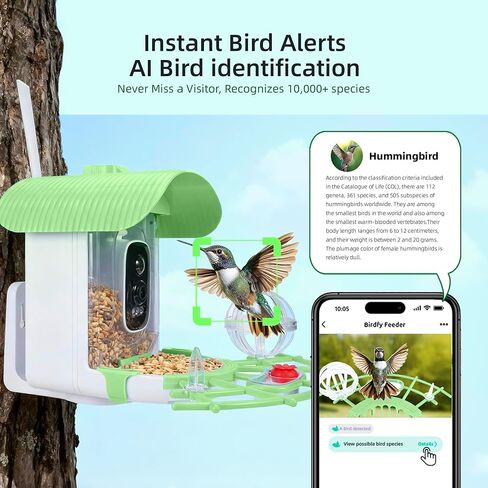 Bird Feeder with Camera, Smart Bird Cam with AI Identify BirdSpecies, Auto Record BirdVideo, Instant Notifications, 2K Video Live Stream Camera with Solar Panel for Birds Lover in Saudi Arabia