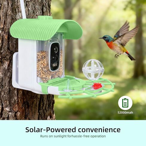 Bird Feeder with Camera, Smart Bird Cam with AI Identify BirdSpecies, Auto Record BirdVideo, Instant Notifications, 2K Video Live Stream Camera with Solar Panel for Birds Lover in Saudi Arabia