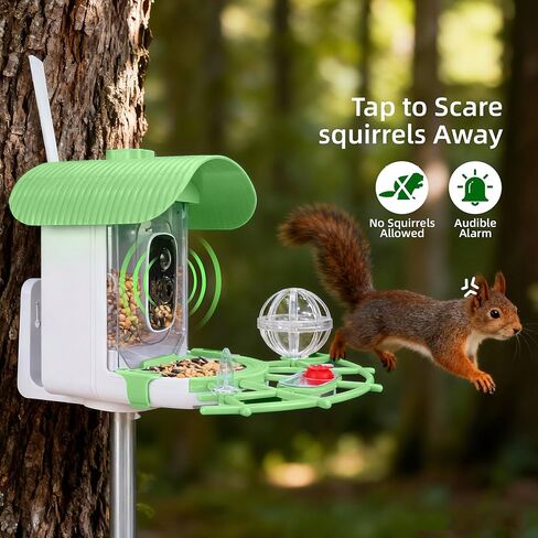 Bird Feeder with Camera, Smart Bird Cam with AI Identify BirdSpecies, Auto Record BirdVideo, Instant Notifications, 2K Video Live Stream Camera with Solar Panel for Birds Lover in Saudi Arabia
