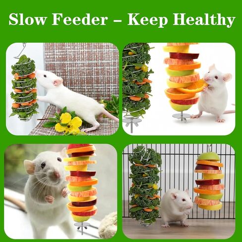 2 PCS Bird Cage Food Holder, Rat Enrichment Toys, 304 Stainless Steel Rat Foraging Toy for Fruit Vegetable Holder, Hanging Rodent Toys Slow Feeder, Bird Cage Feeder Foraging Toy for Parakeet in Saudi Arabia