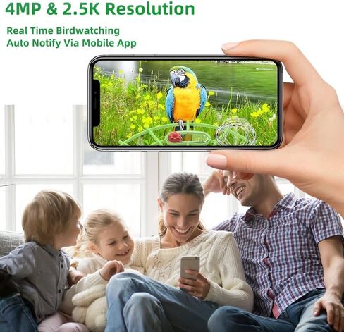 جهاز تغذية الطيور مع كاميرا للأماكن الخارجية، بث مباشر ذكي AI 4MP 2.5K، يحدد أكثر من 10,000 طائر، طاقة شمسية 5200 مللي أمبير في الساعة، رادع السنجاب ورؤية ليلية - هدية صديقة للبيئة in Kuwait