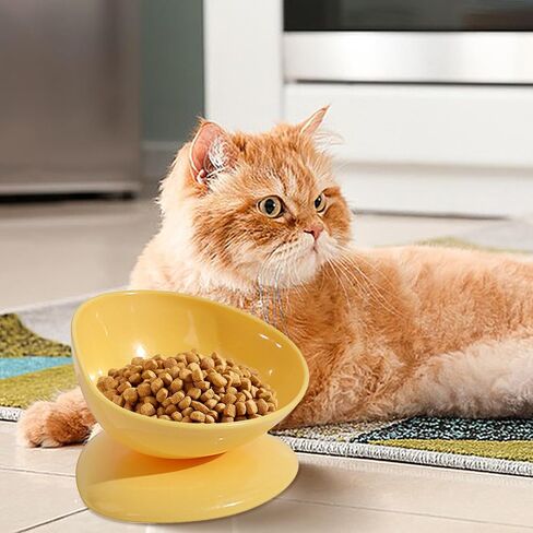 Tilted Cat Bowl | 200ml Anti-Tipping Neck Support Pet Dispenser,15 Degree Inclined Tilted Water Bowl,for Small Dogs Kitten Puppy Travel Indoor Outdoor Feeding in Saudi Arabia