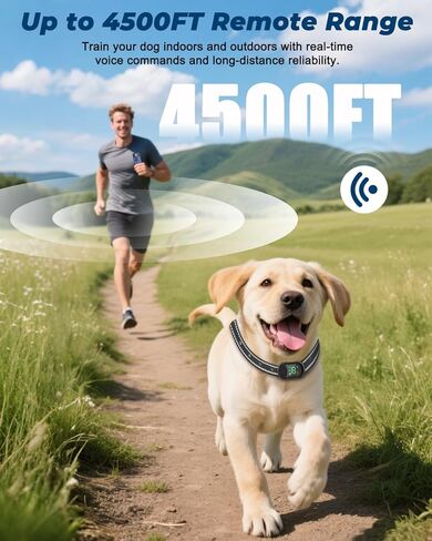 طوق تدريب الكلاب مع جهاز تحكم عن بعد - طوق إلكتروني بطول 4500 قدم مزود بصوت وصفير واهتزاز وصدمات ومصباح يدوي، طوق صدمات للكلاب قابل لإعادة الشحن مقاوم للماء للكلاب الصغيرة والمتوسطة والكبيرة in Kuwait