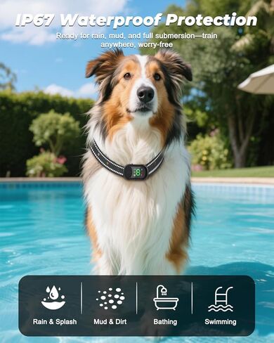 طوق تدريب الكلاب مع جهاز تحكم عن بعد - طوق إلكتروني بطول 4500 قدم مزود بصوت وصفير واهتزاز وصدمات ومصباح يدوي، طوق صدمات للكلاب قابل لإعادة الشحن مقاوم للماء للكلاب الصغيرة والمتوسطة والكبيرة in Kuwait