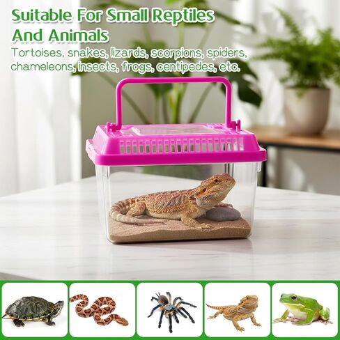 12 Pcs Critter Keeper, Plastic Reptile Terrariums Carrier Cage Mini Portable Small Reptile Hatching Container with Handle for Turtle Shrimp Spider Scorpion Gecko in Saudi Arabia