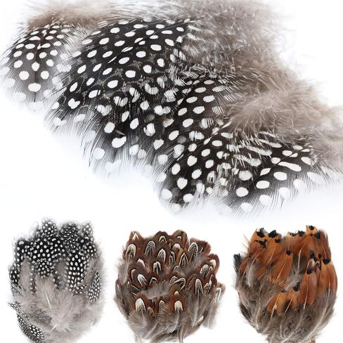 MWOOT 300PCS Spotted Chicken Feathers Natural Pheasant Plumage Feathers for DIY Crafts, Clothing, Jewelry, Wedding, Birthday Party, Dream Catcher Decoration in Saudi Arabia