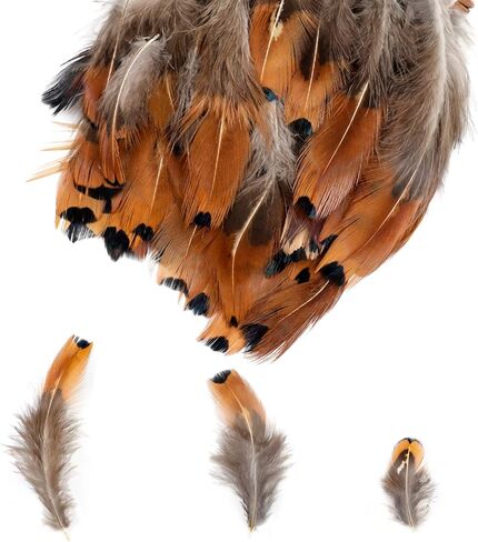 MWOOT 300PCS Spotted Chicken Feathers Natural Pheasant Plumage Feathers for DIY Crafts, Clothing, Jewelry, Wedding, Birthday Party, Dream Catcher Decoration in Saudi Arabia