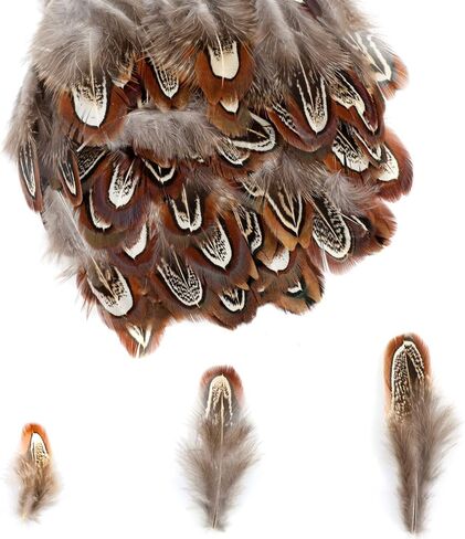 MWOOT 300PCS Spotted Chicken Feathers Natural Pheasant Plumage Feathers for DIY Crafts, Clothing, Jewelry, Wedding, Birthday Party, Dream Catcher Decoration in Saudi Arabia
