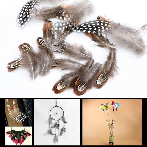 MWOOT 300PCS Spotted Chicken Feathers Natural Pheasant Plumage Feathers for DIY Crafts, Clothing, Jewelry, Wedding, Birthday Party, Dream Catcher Decoration in Saudi Arabia