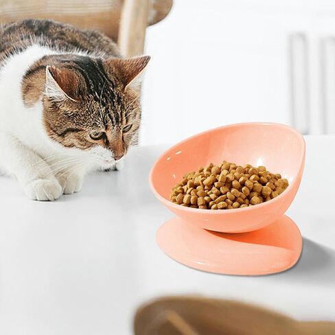 Tilted Cat Food Bowls,200ml Anti-Tipping Neck Support Pet Dispenser - 15 Degree Inclined Tilted Water Bowl,for Small Dogs Kitten Puppy Travel Indoor Outdoor Feeding in Saudi Arabia