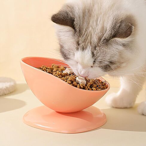 Tilted Cat Food Bowls,200ml Anti-Tipping Neck Support Pet Dispenser - 15 Degree Inclined Tilted Water Bowl,for Small Dogs Kitten Puppy Travel Indoor Outdoor Feeding in Saudi Arabia