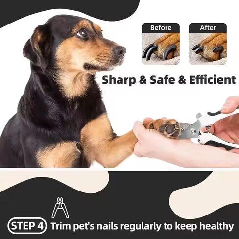 مجموعة أدوات العناية بالكلاب في المنزل، مجموعة أدوات العناية بالحيوانات الأليفة 6 في 1 مع فرشاة ناعمة وأداة إزالة الوبر ومشط من الفولاذ المقاوم للصدأ ومقص أظافر للكلاب ومبرد أظافر وقفاز لتدليك الحمام in Kuwait
