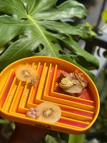 Snack Dish Slow Feeder Bowl for Dogs & Cats – Dual Pattern Design with Treat Corner, Mess-Free Feeding, Dishwasher Safe | Kubi Pets in Saudi Arabia