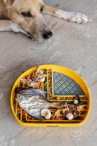Snack Dish Slow Feeder Bowl for Dogs & Cats – Dual Pattern Design with Treat Corner, Mess-Free Feeding, Dishwasher Safe | Kubi Pets in Saudi Arabia