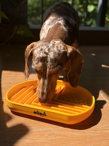 Snack Dish Slow Feeder Bowl for Dogs & Cats – Dual Pattern Design with Treat Corner, Mess-Free Feeding, Dishwasher Safe | Kubi Pets in Saudi Arabia