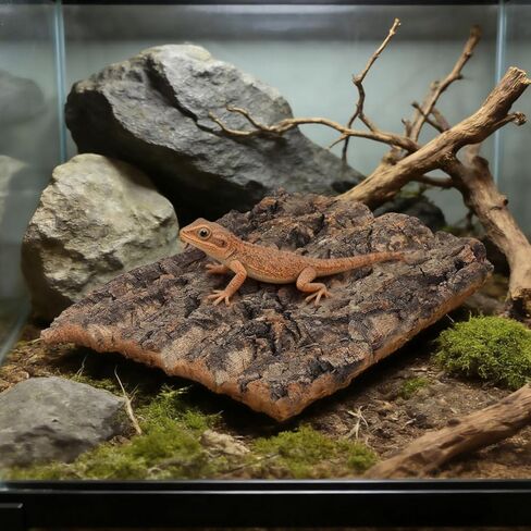 قطعتان من لحاء الفلين للزواحف، لحاء شجرة تررم من الفلين الطبيعي لتسلق حصيرة ديكور المسكن للسحالي والسلحفاة والعناكب وإكسسوارات خزان الأفعى - 7.66 × 5.82 بوصة in Kuwait