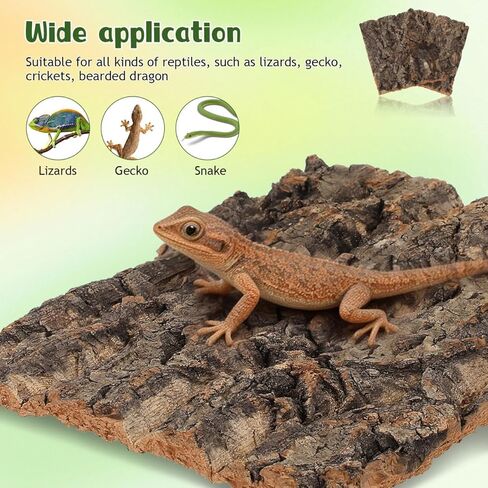 قطعتان من لحاء الفلين للزواحف، لحاء شجرة تررم من الفلين الطبيعي لتسلق حصيرة ديكور المسكن للسحالي والسلحفاة والعناكب وإكسسوارات خزان الأفعى - 7.66 × 5.82 بوصة in Kuwait