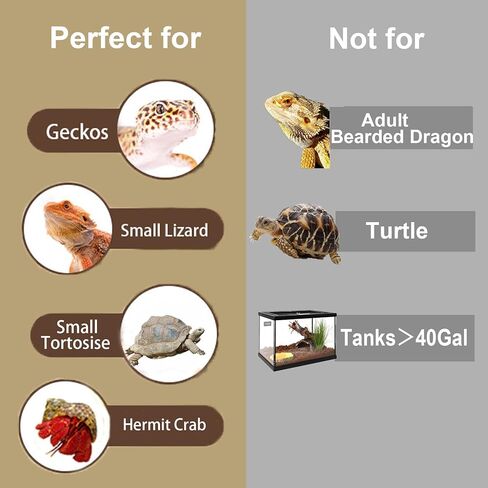 5-in-1 Leopard Gecko Tank Starter Kit, Hide Cave, Seagrass Hammock, Climbing Vine, Tweezers & Dish - 10-20 Gal | Fits Leopard/Crested Geckos, Harmit Crabs, Juvenile Tortoises (Tank Not Included) in Saudi Arabia