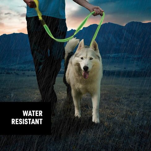 Nite Ize NiteDog مقود LED قابل لإعادة الشحن - مقود خفيف LED قابل لإعادة الشحن للكلاب مع مقبض مبطن - ملحقات مشي الكلاب للمشي والجري - 5 أقدام، ليموني in Kuwait
