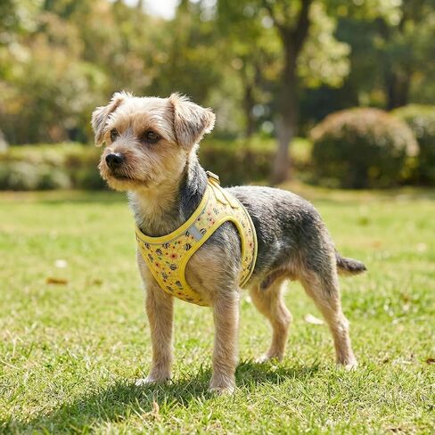 Step in Dog Harness and Leash Set, Reflective Adjustable No Pull Dog Harness for Extra-Small/Small Dogs Puppy and Cats, Soft Padded Mesh Vest Harnesses for Girl and Boy Pets(Bee,S) in Saudi Arabia