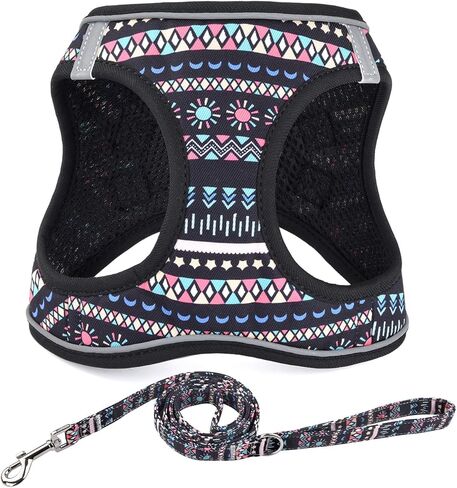 Step in Dog Harness and Leash Set, Reflective Adjustable No Pull Dog Harness for Extra-Small/Small Dogs Puppy and Cats, Soft Padded Mesh Vest Harnesses for Girl and Boy Pets(Bee,S) in Saudi Arabia