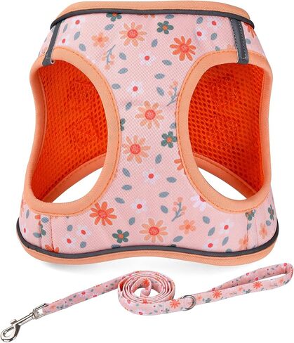Step in Dog Harness and Leash Set, Reflective Adjustable No Pull Dog Harness for Extra-Small/Small Dogs Puppy and Cats, Soft Padded Mesh Vest Harnesses for Girl and Boy Pets(Bee,S) in Saudi Arabia