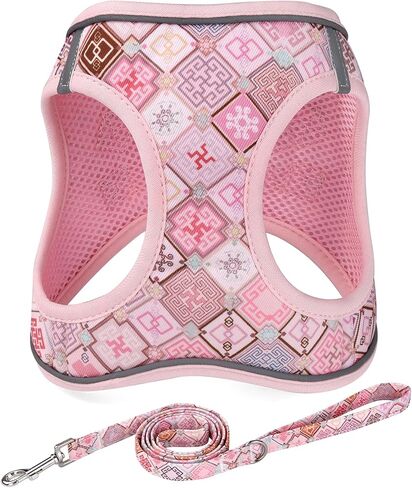 Step in Dog Harness and Leash Set, Reflective Adjustable No Pull Dog Harness for Extra-Small/Small Dogs Puppy and Cats, Soft Padded Mesh Vest Harnesses for Girl and Boy Pets(Bee,S) in Saudi Arabia