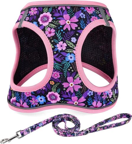 Step in Dog Harness and Leash Set, Reflective Adjustable No Pull Dog Harness for Extra-Small/Small Dogs Puppy and Cats, Soft Padded Mesh Vest Harnesses for Girl and Boy Pets(Bee,S) in Saudi Arabia