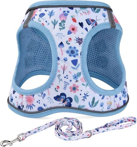 Step in Dog Harness and Leash Set, Reflective Adjustable No Pull Dog Harness for Extra-Small/Small Dogs Puppy and Cats, Soft Padded Mesh Vest Harnesses for Girl and Boy Pets(Bee,S) in Saudi Arabia