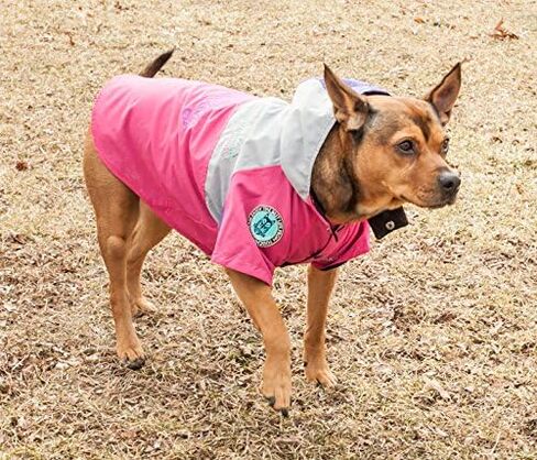 TOUCHDOG 'Mount Pinnacle' Waterproof and Windproof Fashion Designer Insulated Pet Dog Coat Ski Jacket Hooded Raincoat, X-Small, Pink in Saudi Arabia