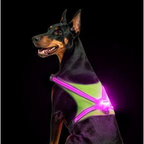 Xlife Light Up Dog Harness – Reflective Multicolored LED Vest Harness, Rechargeable, Rainproof, Adjustable, No Pull & Safe for Large Dogs for Night Walks, Hiking(L) in Kuwait