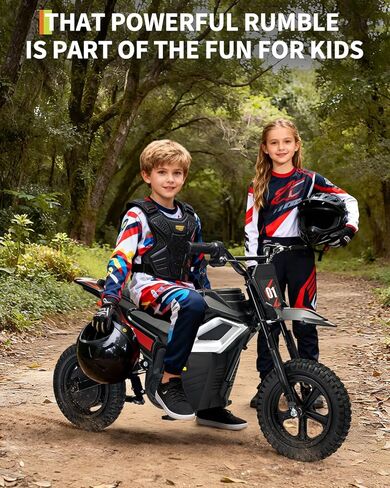 Electric Dirt Bike for Kids 10-12 Years, 350W Motor 14MPH Off-Road Motorcycle, 12" Fat Tire & Suspension, 24V Rechargeable Battery, 130lbs Load, Ideal Teen Boys Gift in Kuwait