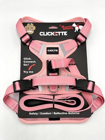 حزام ومقود Clickette™ ذو القفل المغناطيسي (برتقالي، متوسط) in Saudi Arabia