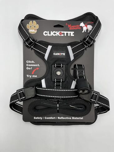 حزام ومقود Clickette™ ذو القفل المغناطيسي (برتقالي، متوسط) in Saudi Arabia
