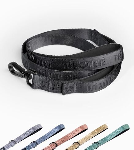 2026 New Edition, Fei & Eve Classic Dog Leash - 6FT, Dual Padded Handles, 360° Swivel Hook, Heavy Duty 210D Nylon - No-Pull Design with Traffic Control Handle - for Small/Medium/Large Dogs, Champagne in Saudi Arabia