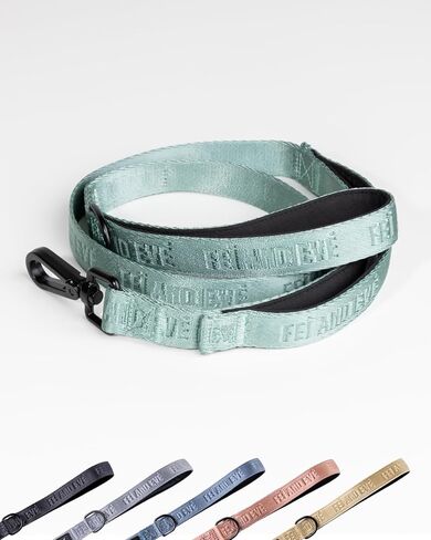 2026 New Edition, Fei & Eve Classic Dog Leash - 6FT, Dual Padded Handles, 360° Swivel Hook, Heavy Duty 210D Nylon - No-Pull Design with Traffic Control Handle - for Small/Medium/Large Dogs, Champagne in Saudi Arabia