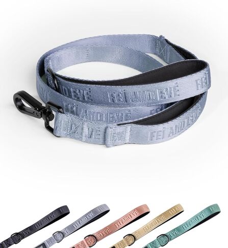 2026 New Edition, Fei & Eve Classic Dog Leash - 6FT, Dual Padded Handles, 360° Swivel Hook, Heavy Duty 210D Nylon - No-Pull Design with Traffic Control Handle - for Small/Medium/Large Dogs, Champagne in Saudi Arabia