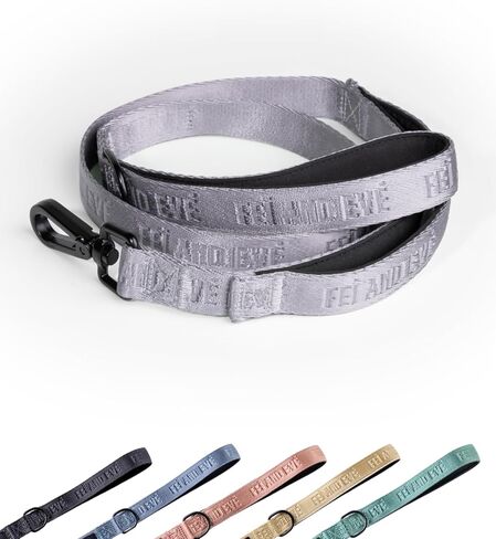 2026 New Edition, Fei & Eve Classic Dog Leash - 6FT, Dual Padded Handles, 360° Swivel Hook, Heavy Duty 210D Nylon - No-Pull Design with Traffic Control Handle - for Small/Medium/Large Dogs, Champagne in Saudi Arabia
