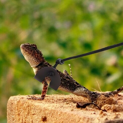 Lizard Harness Leash Adjustable Wear-Resistant Small Pet Walking Rope for Bearded Dragon and Gecko Outdoor Use in Kuwait