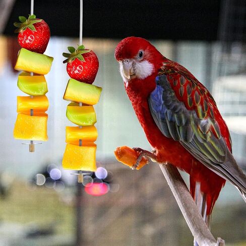 Jeffdad 2PCS Bird Cage Food Holder with Hook, Parrot Fruit Stick Feeder Stainless Steel Bird Feeder for Cage Vegetable Fruit Slow Feeder Bird Foraging Toys for Macaw Parakeet Parrot Budgie in Saudi Arabia