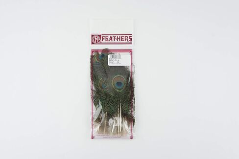 Zucker - Natural Peacock Eye Feathers - 25 Piece Packaged Feathes for Art Supply, DIY, Craft, Home Décor, 2"-4" in Saudi Arabia